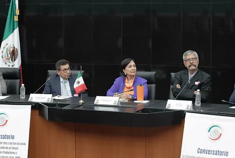 Legal safeguards requested amid digital reform; removing Article 109 is not enough.